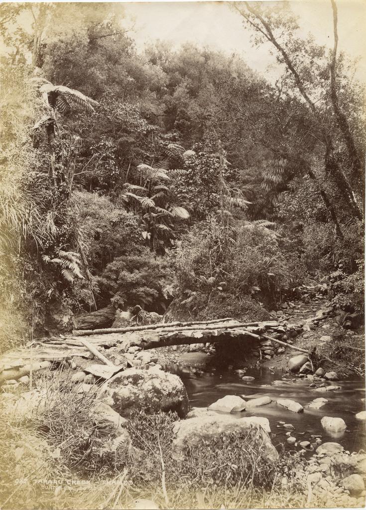 Tararu Creek, Thames