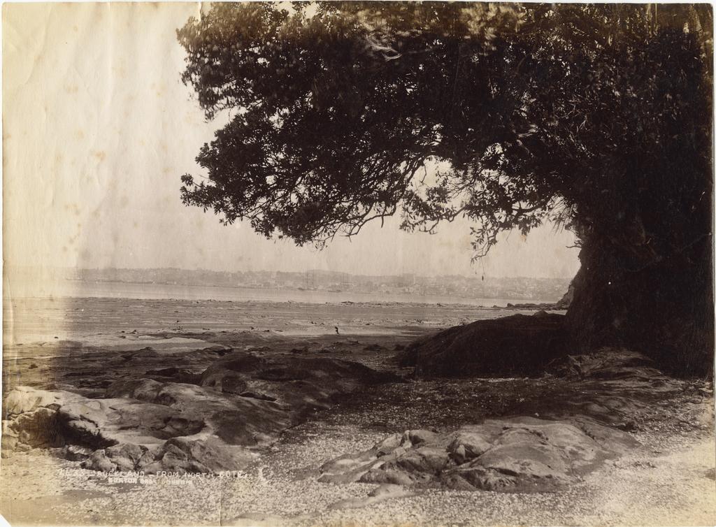 Auckland from Northcote