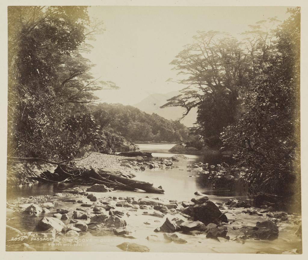 Passage Point Cove, Dusky Sound