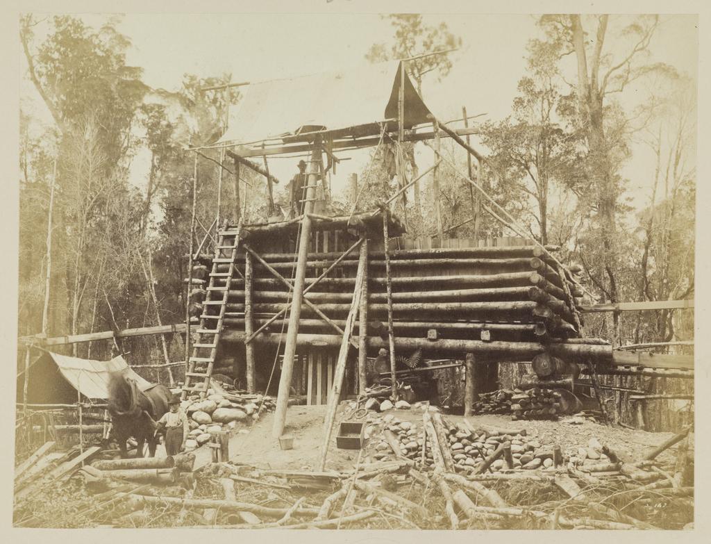 Unidentified wooden structure