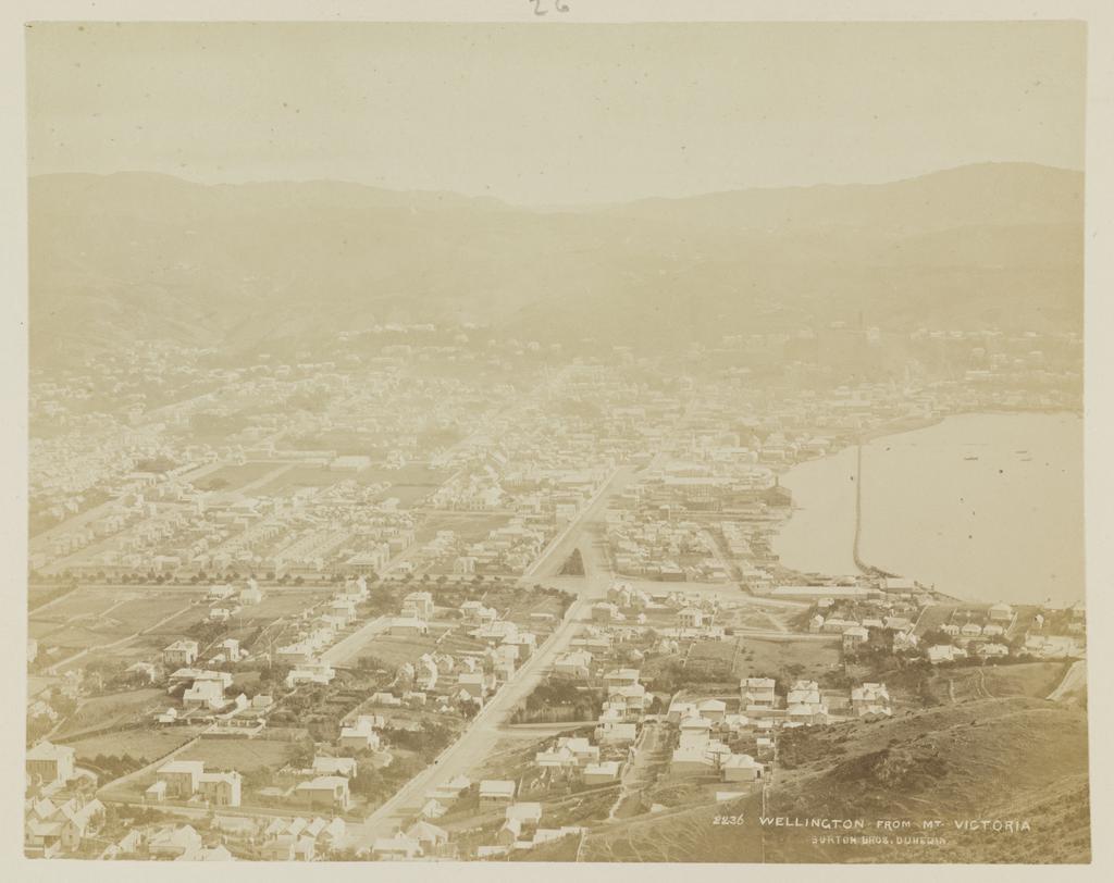 Wellington from Mt Victoria