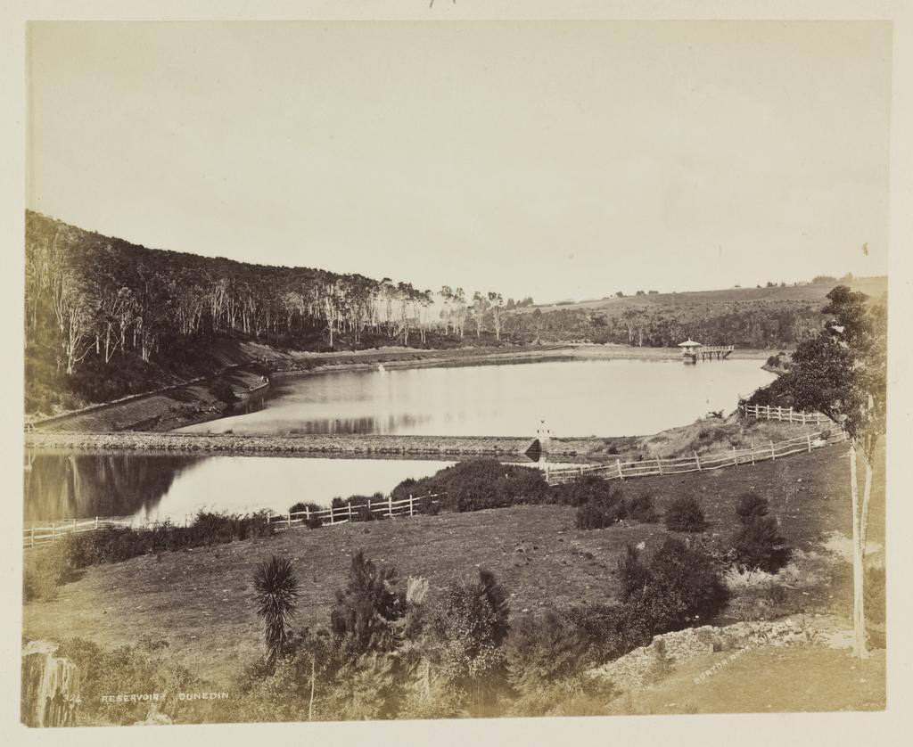 Reservoir, Dunedin