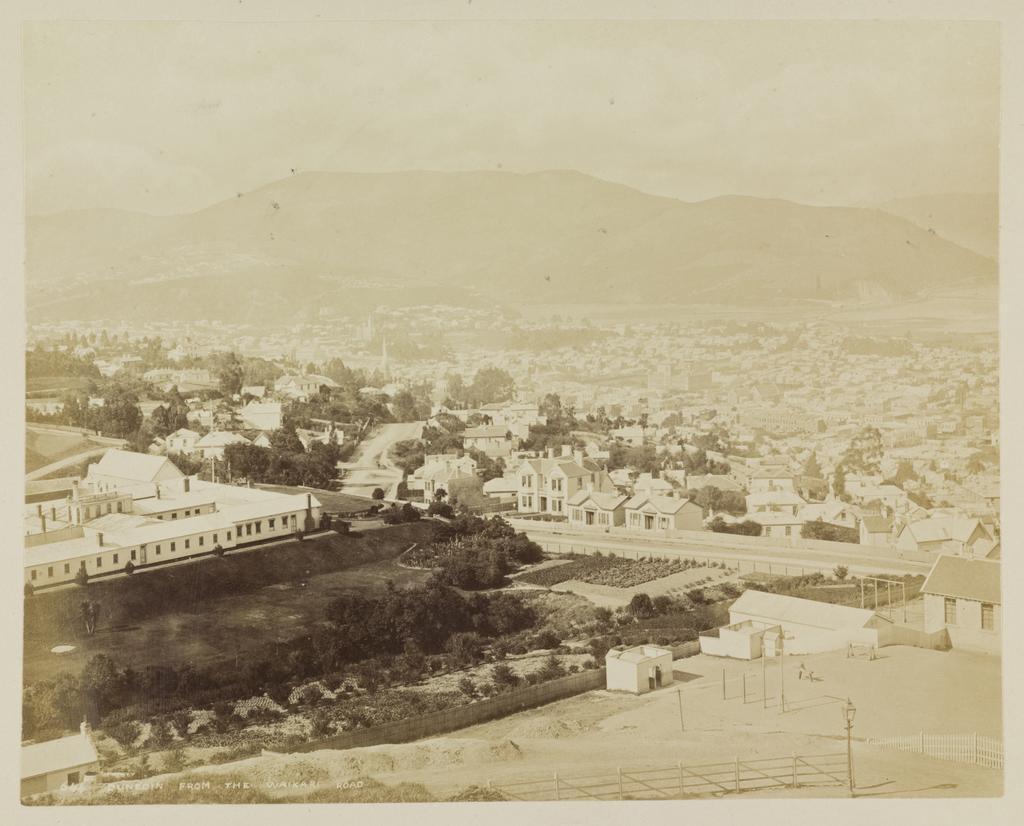 Dunedin from the Waikari [Wakari] Road