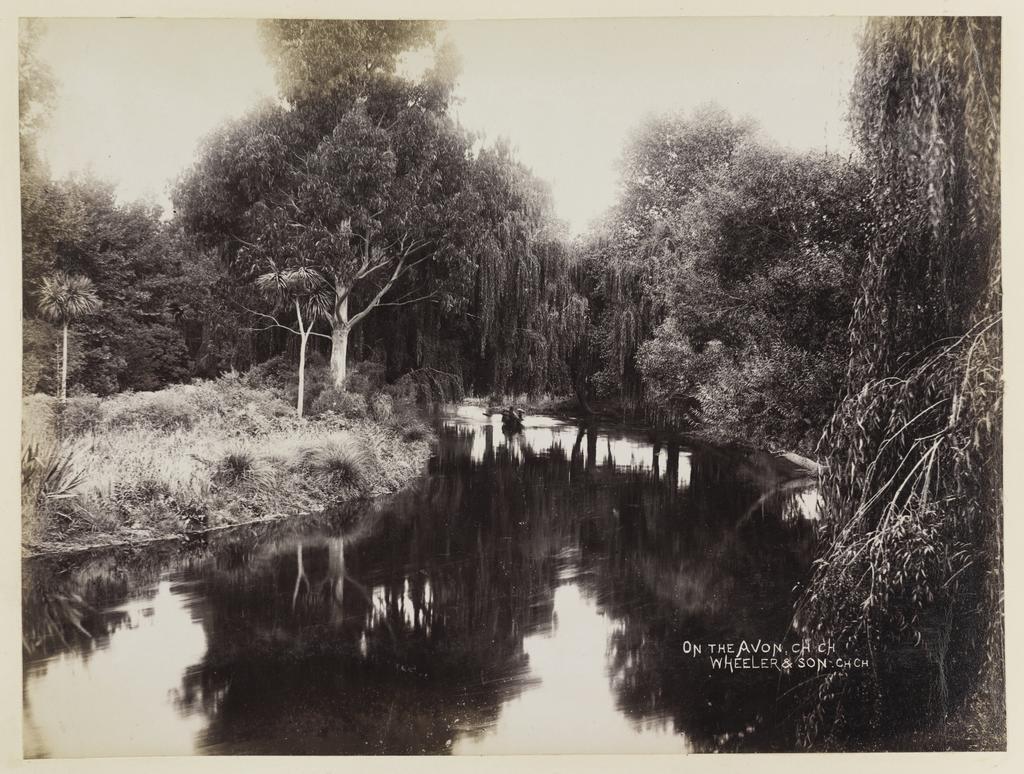 On the Avon, Christchurch