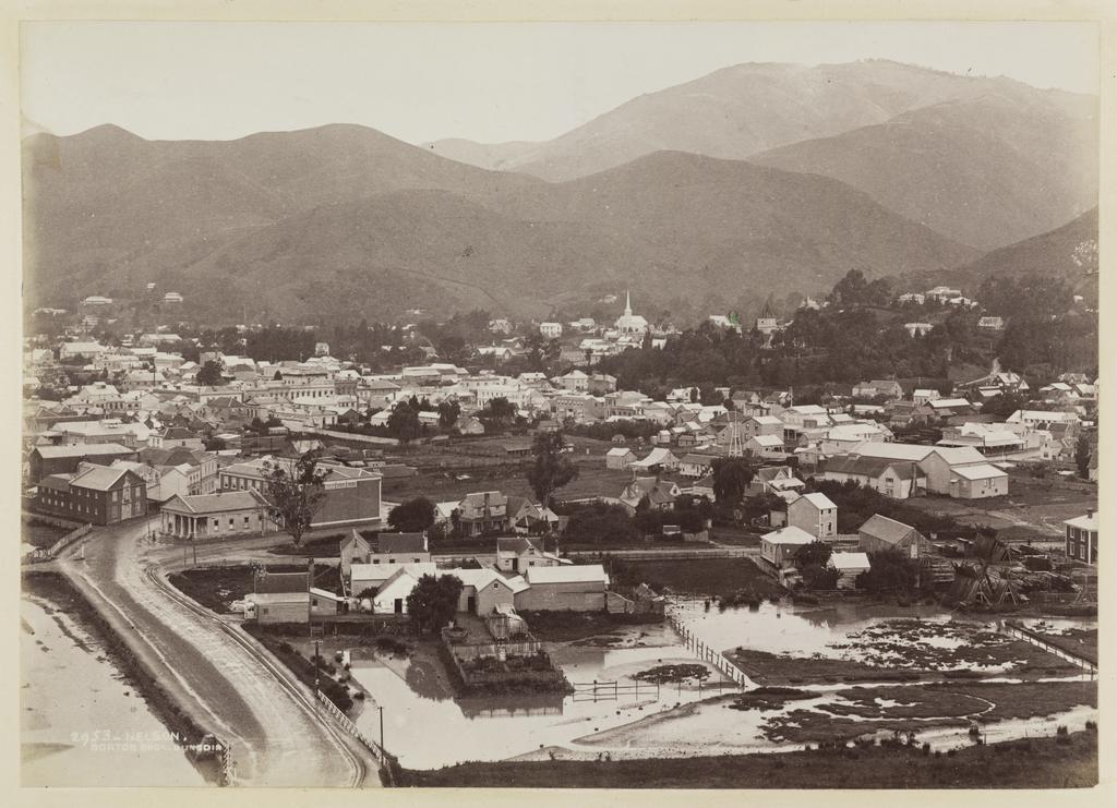 Nelson