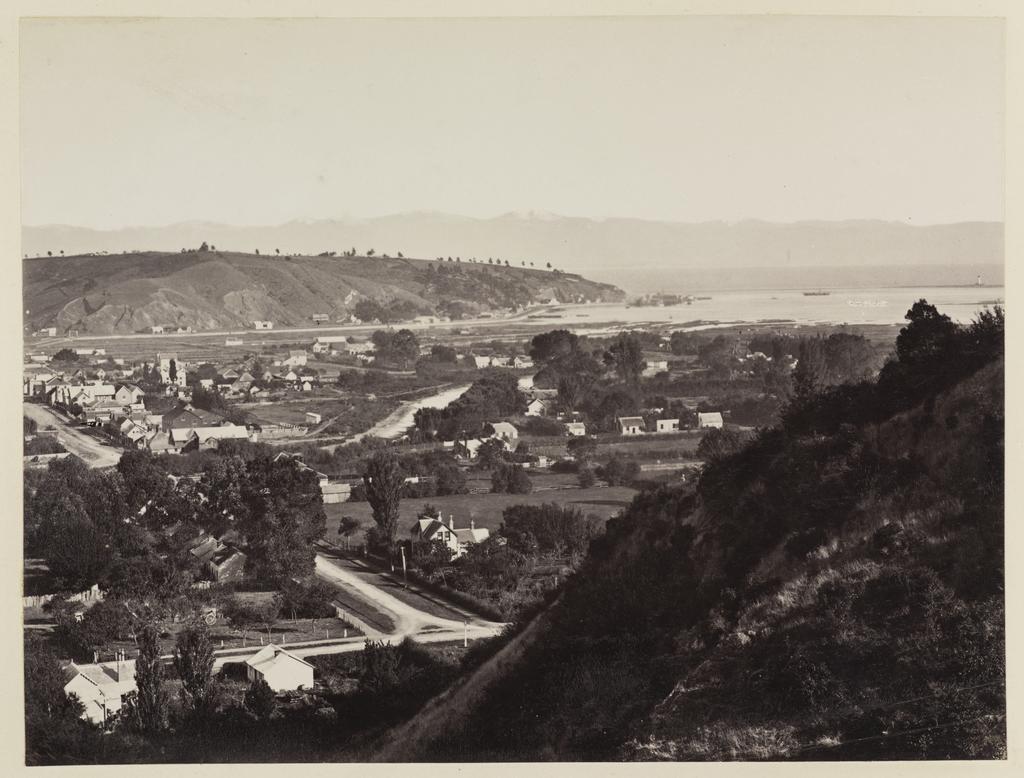 Nelson