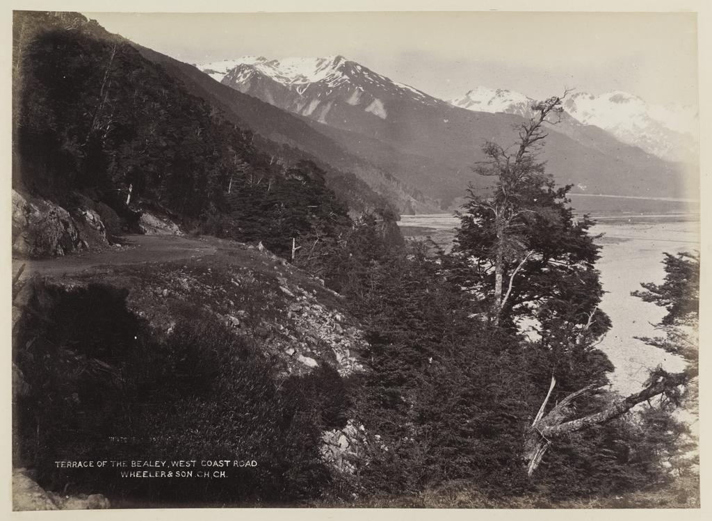 Terrace of the Bealey, West Coast Road