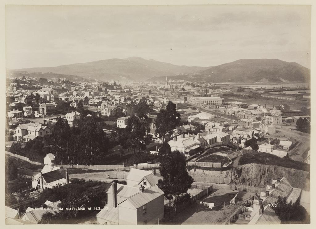 Dunedin from Maitland Street