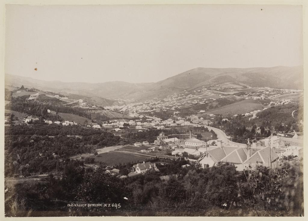 North East Valley, Dunedin