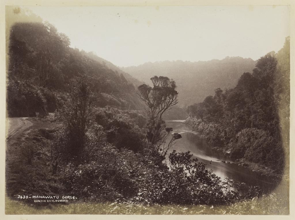 Manawatu Gorge