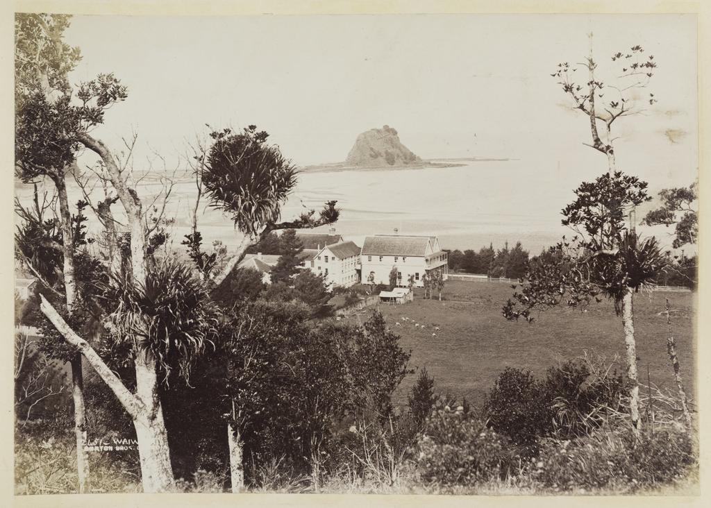 Waiwera