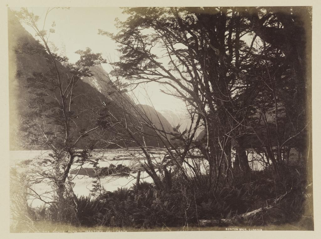 On the Routeburn, Martin's Bay Track