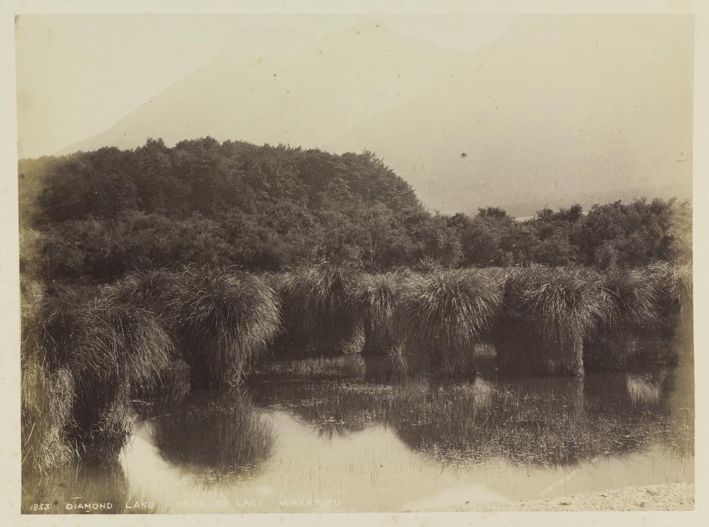 Diamond Lake, Head of Lake Wakatipu