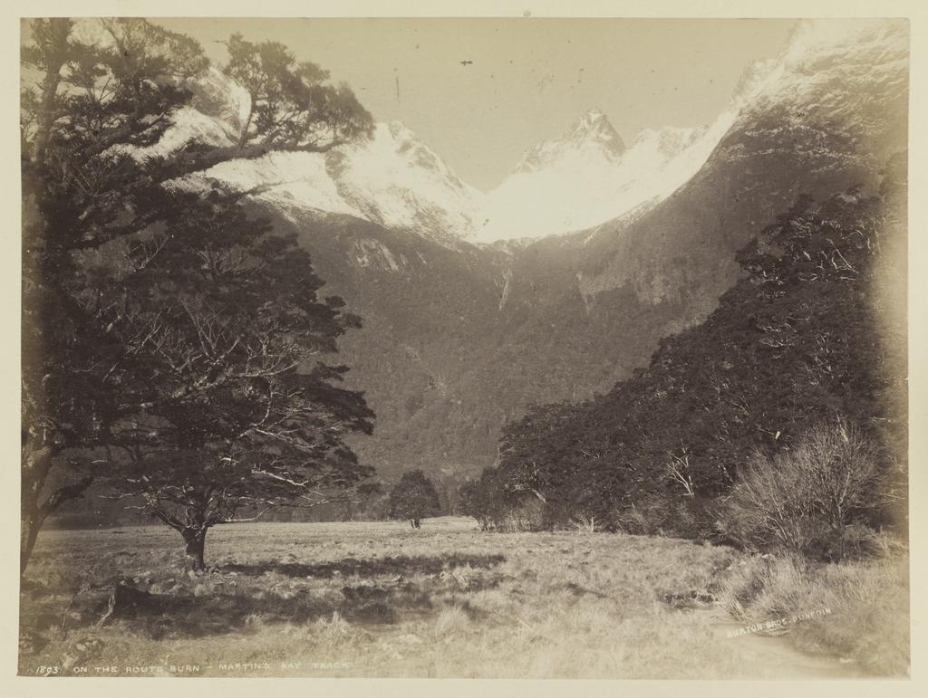 On the Routeburn, Martin's Bay Track