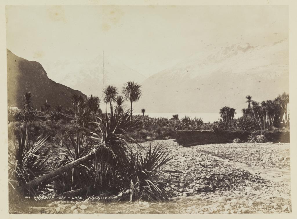 Halfway Bay, Lake Wakatipu