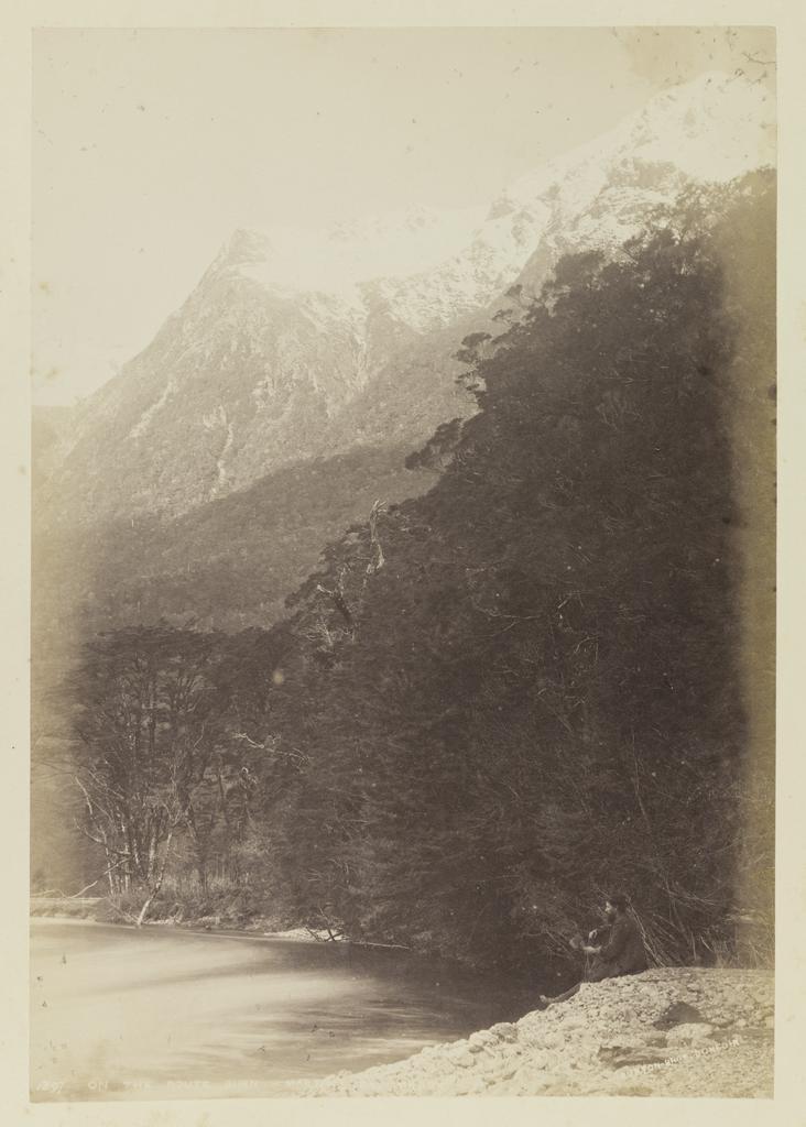 On the Routeburn, Martin's Bay Track