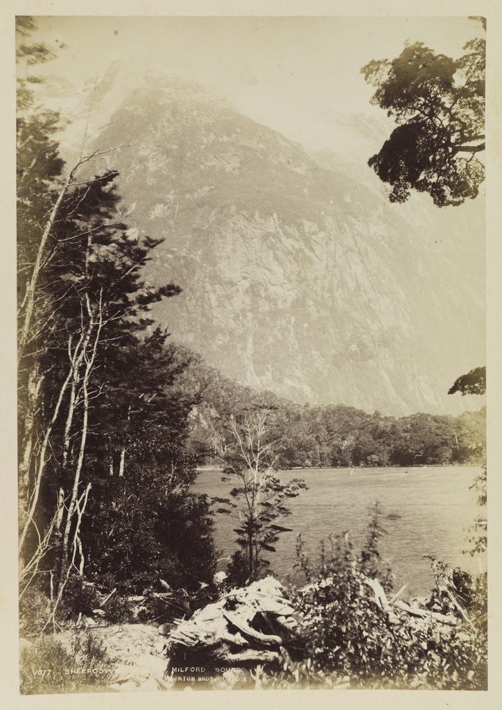 Sheerdown Hill, Milford Sound