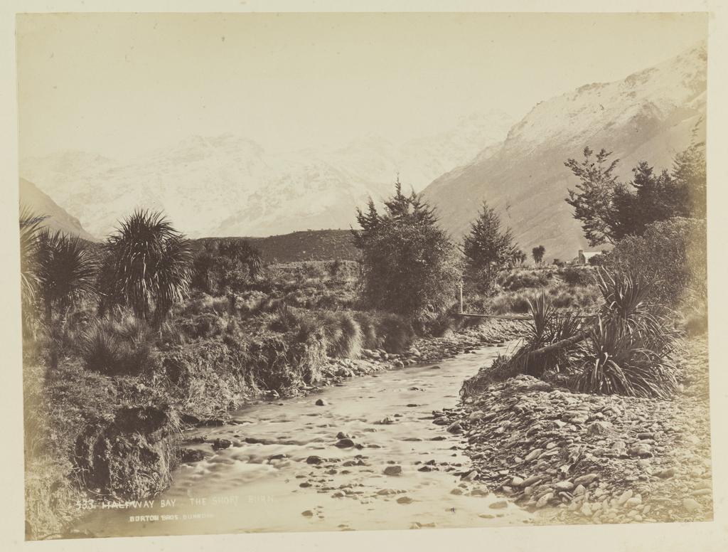 Halfway Bay, the Short Burn