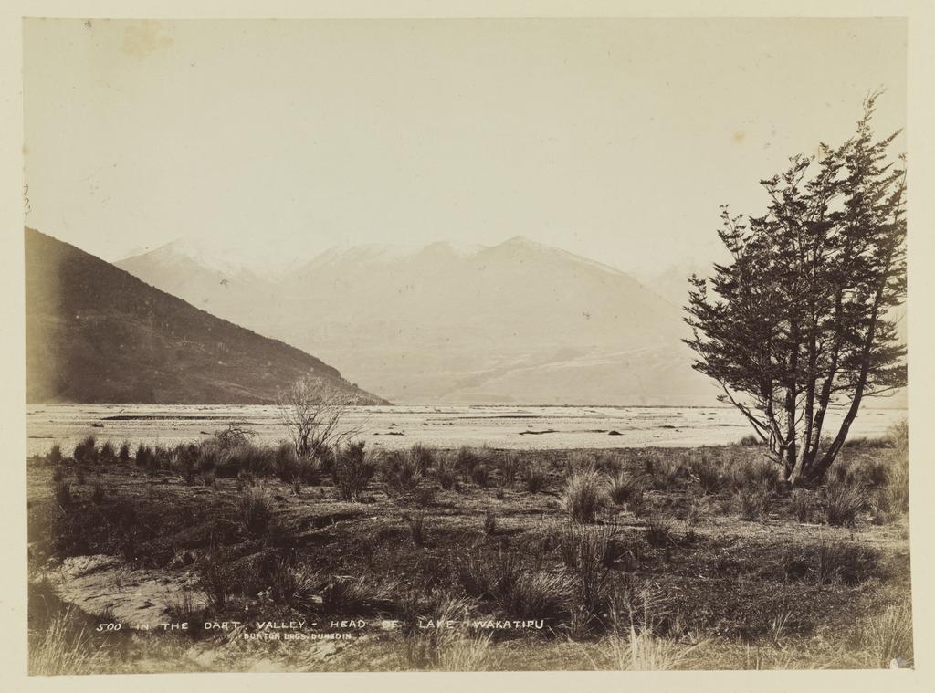 In the Dart Valley, Head of Lake Wakatipu
