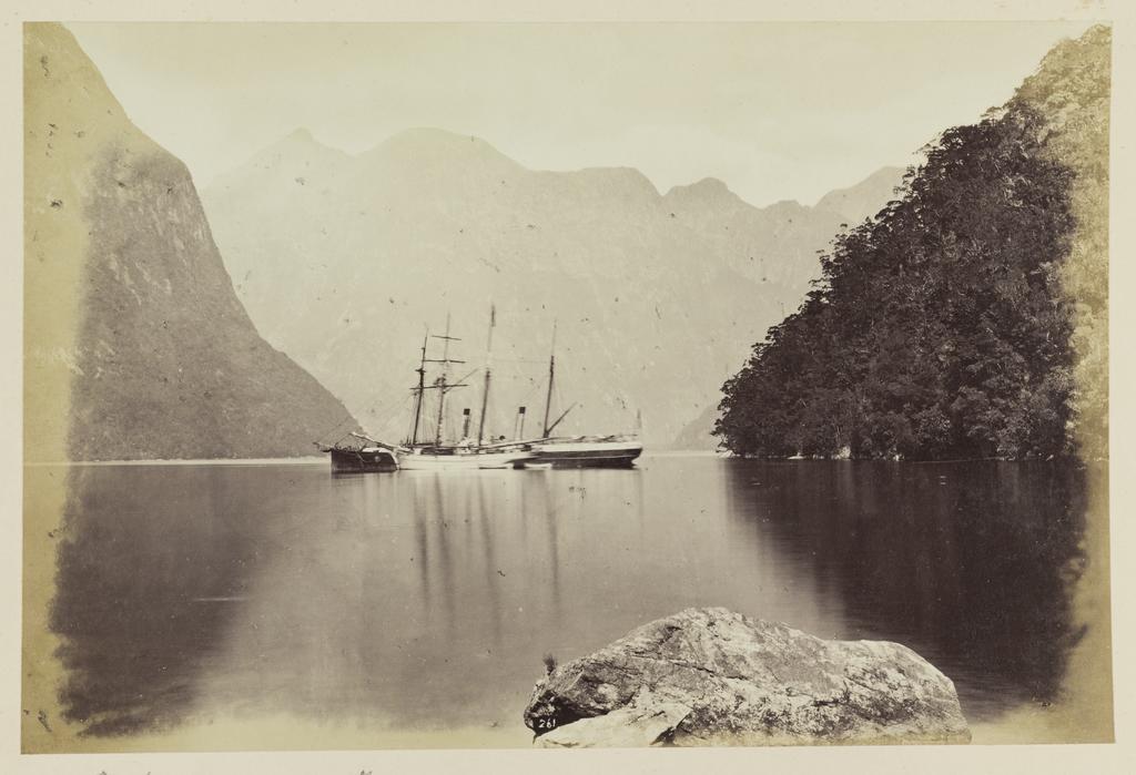 Harrison's Cove, Milford Sound