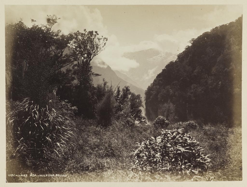 Lake Ada, Milford Sound