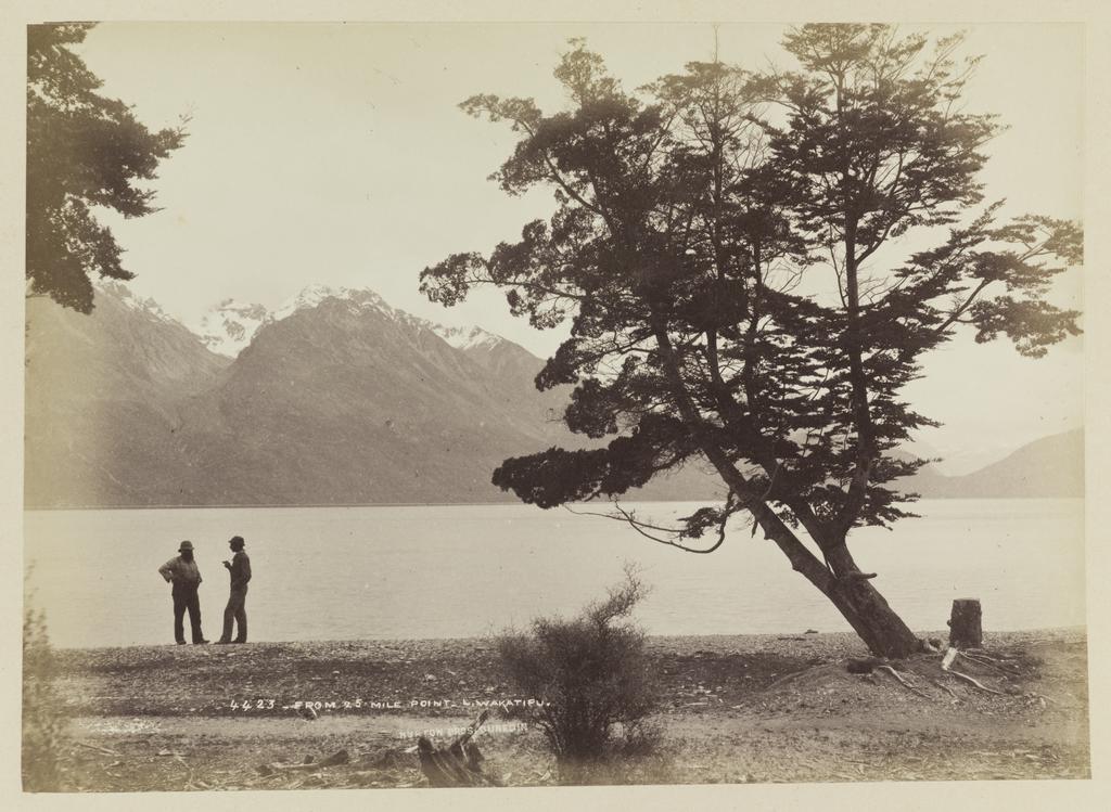 From 25 Mile Point, Lake Wakatipu