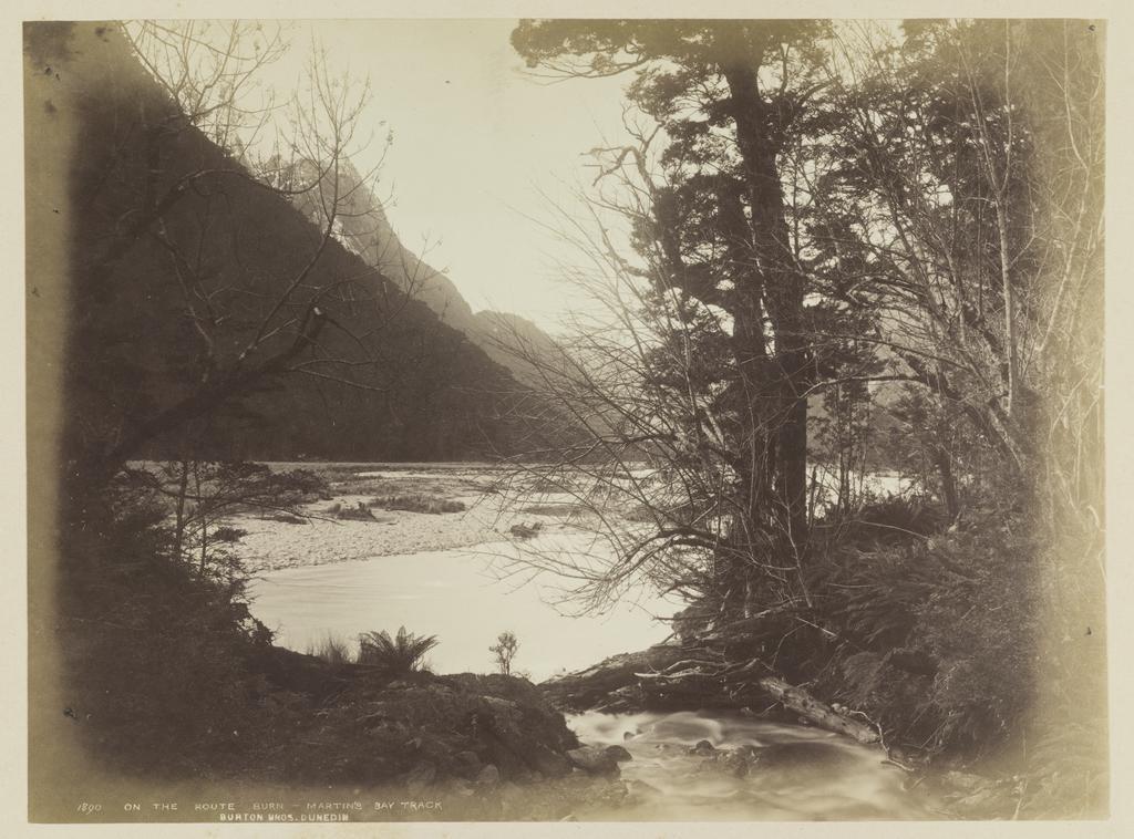 On the Routeburn, Martin's Bay Track
