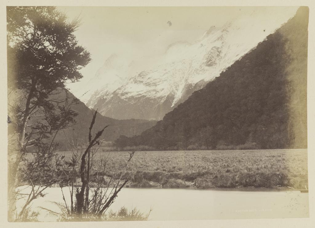 On the Routeburn, Martin's Bay Track