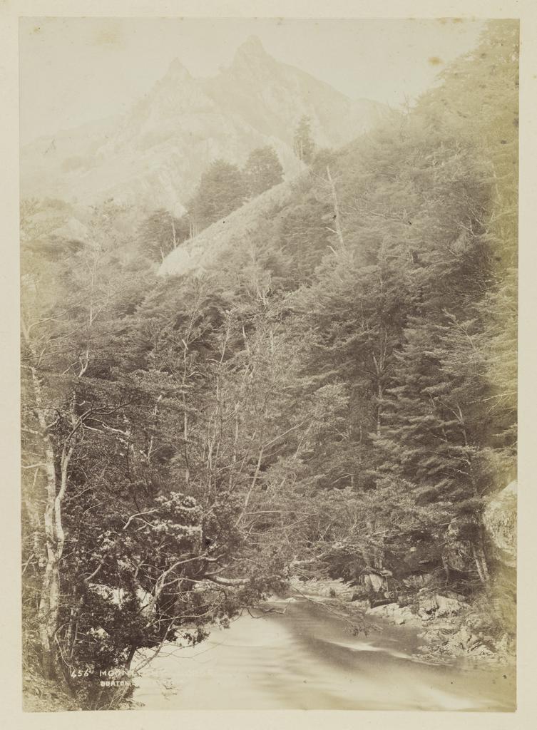 Moonlight Gorge