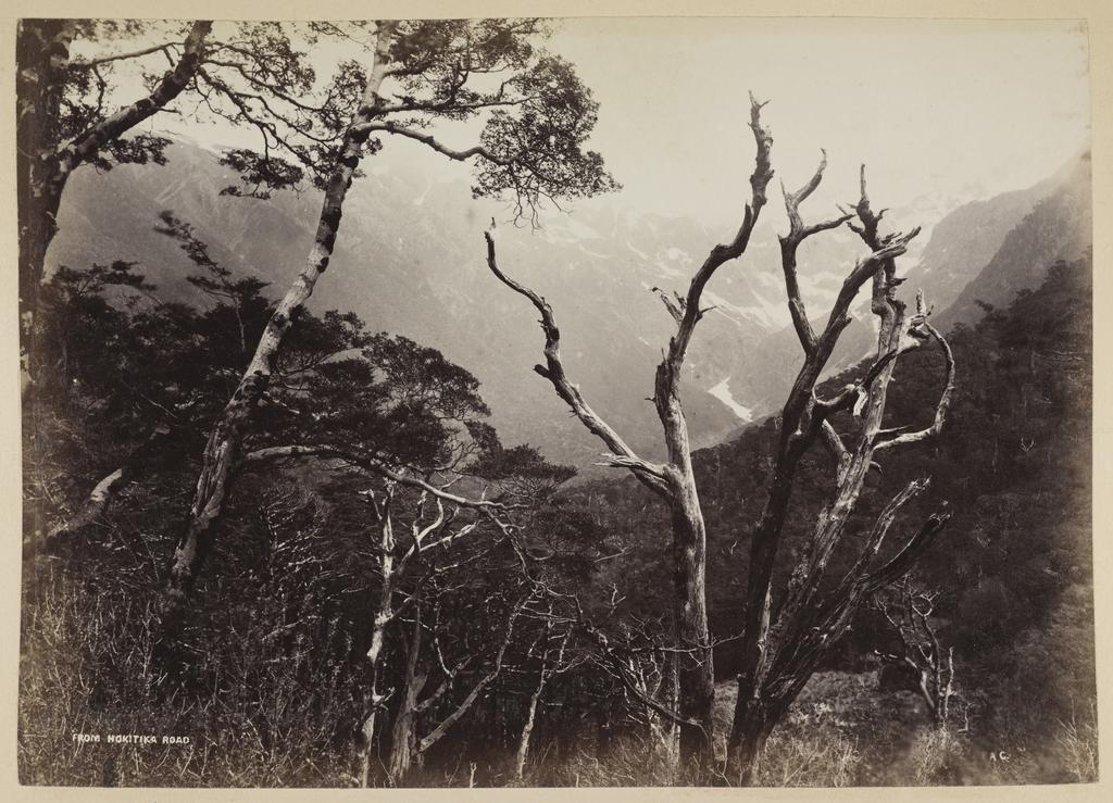 From Hokitika Road