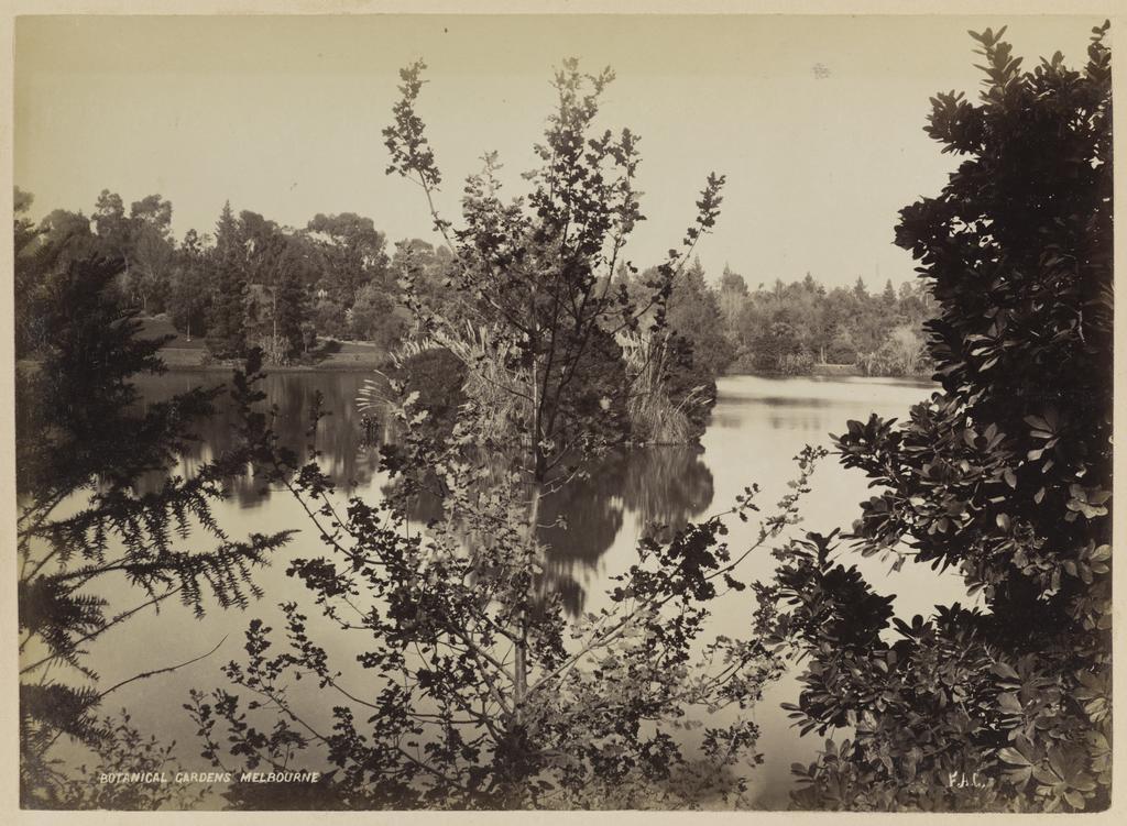 Botanical Gardens, Melbourne