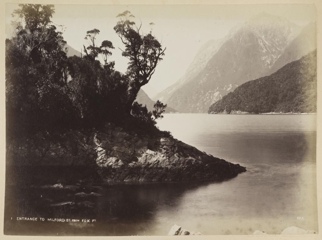 Entrance to Milford Sound from Fox Point