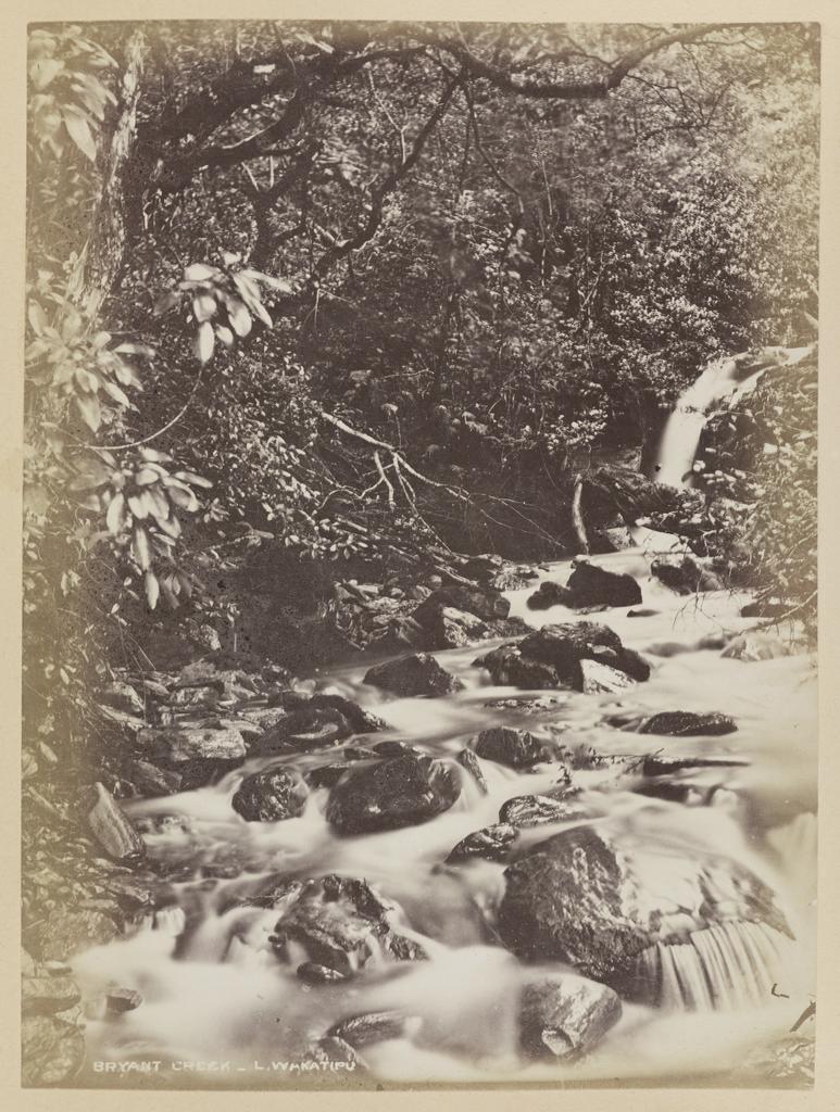 Bryant Creek, Lake Wakatipu