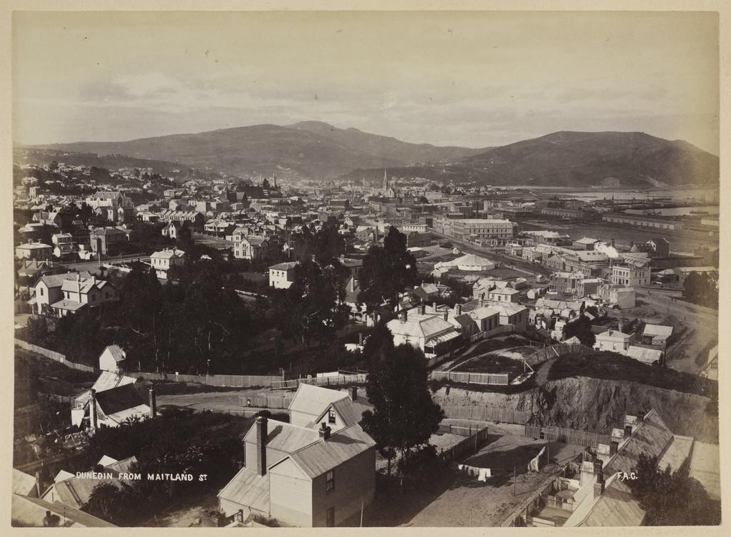 Dunedin from Maitland St, N.Z.