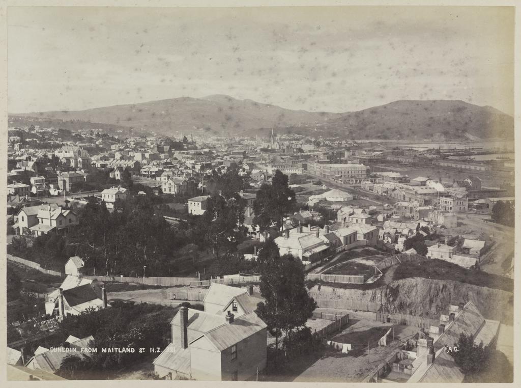 Dunedin from Maitland St N.Z.