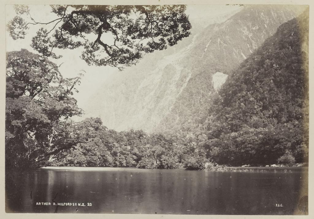 Arthur River, Milford Sound N.Z.