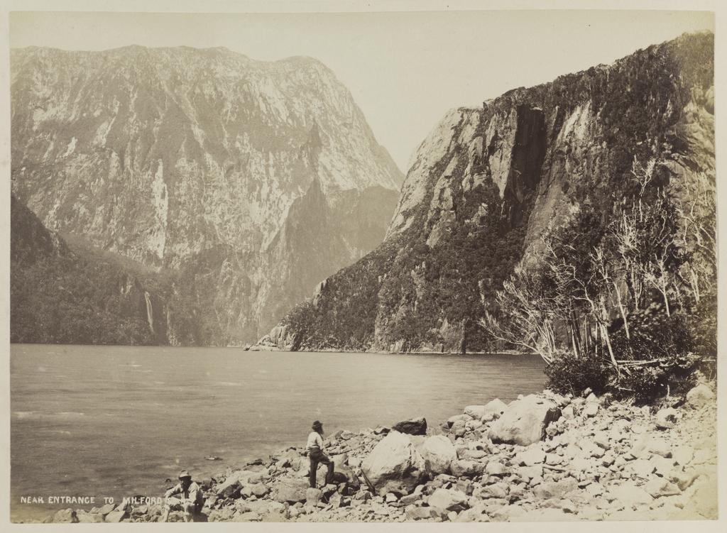 Near entrance to Milford Sound N.Z.