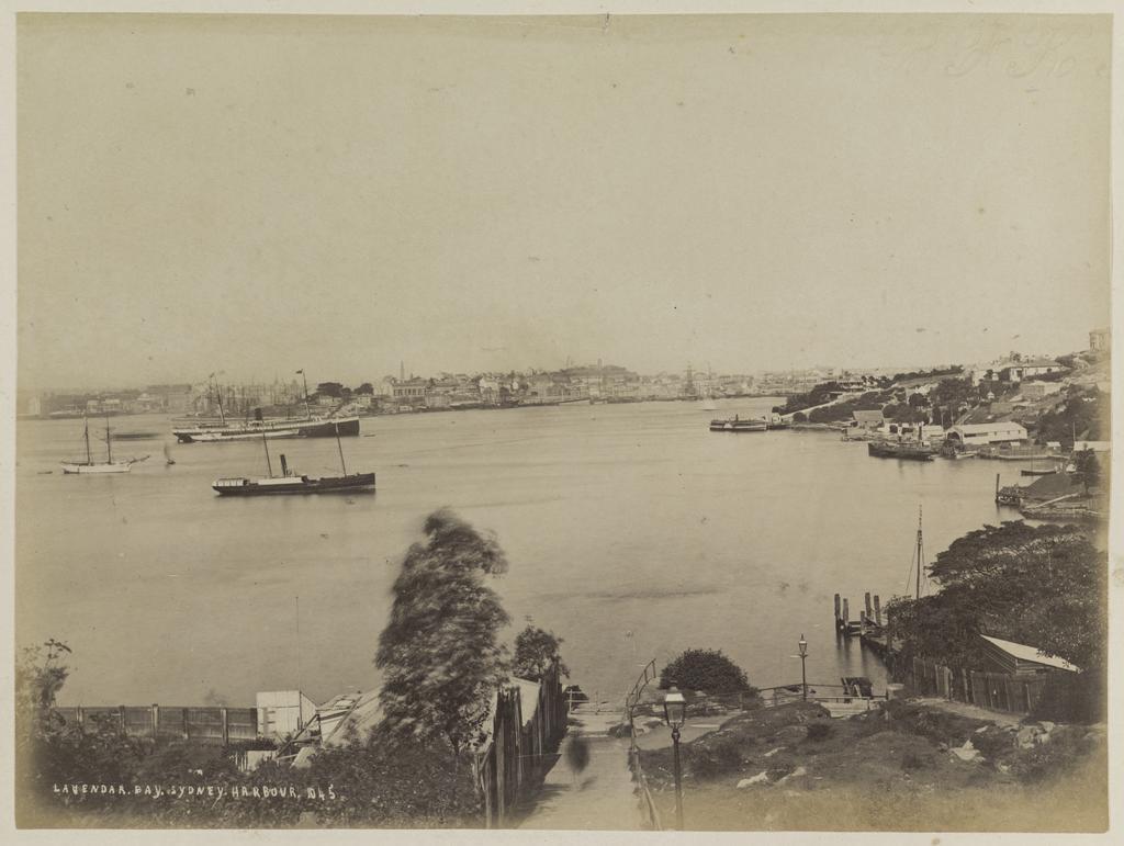 Lavendar Bay, Sydney Harbour
