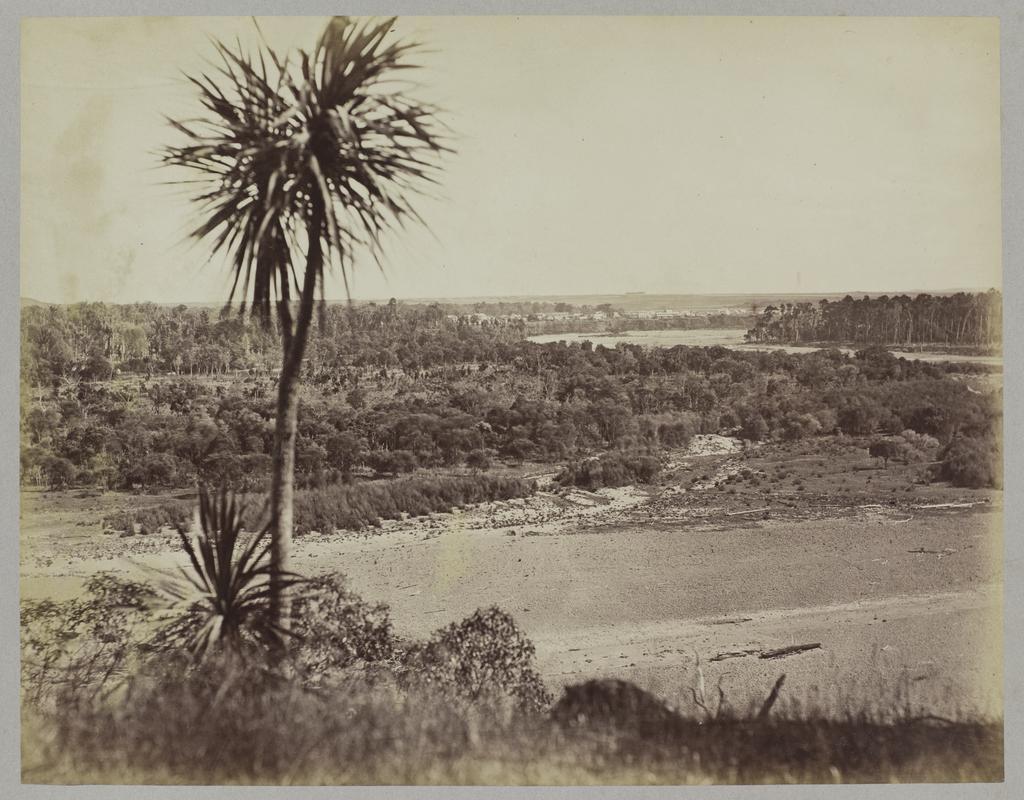 Rangatiki River, with birds eye view of Bull Town