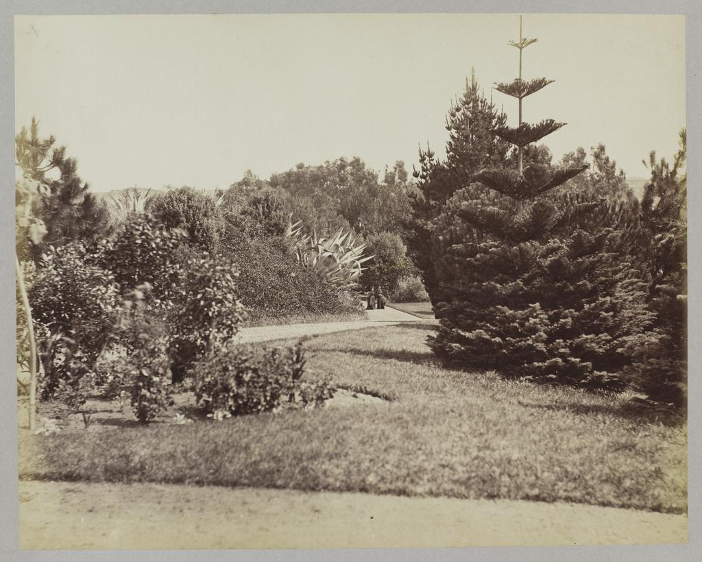 Garden of W.H. Hogg, Mayor of Wanganui