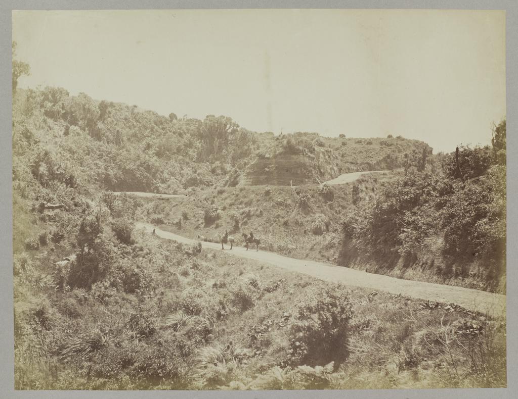 The Devil's Elbow, Manutahi Gorge, Patea County