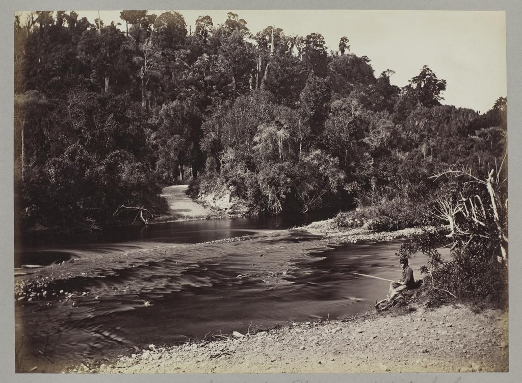 Makaka River, Seventy Mile Bush
