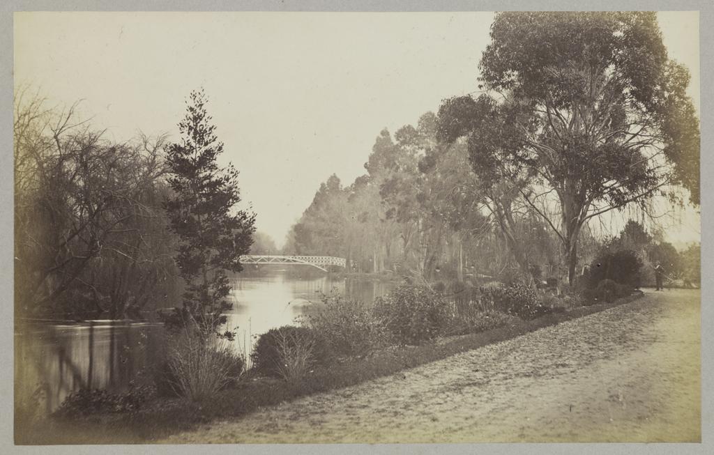 Bridge in domain, Christchurch