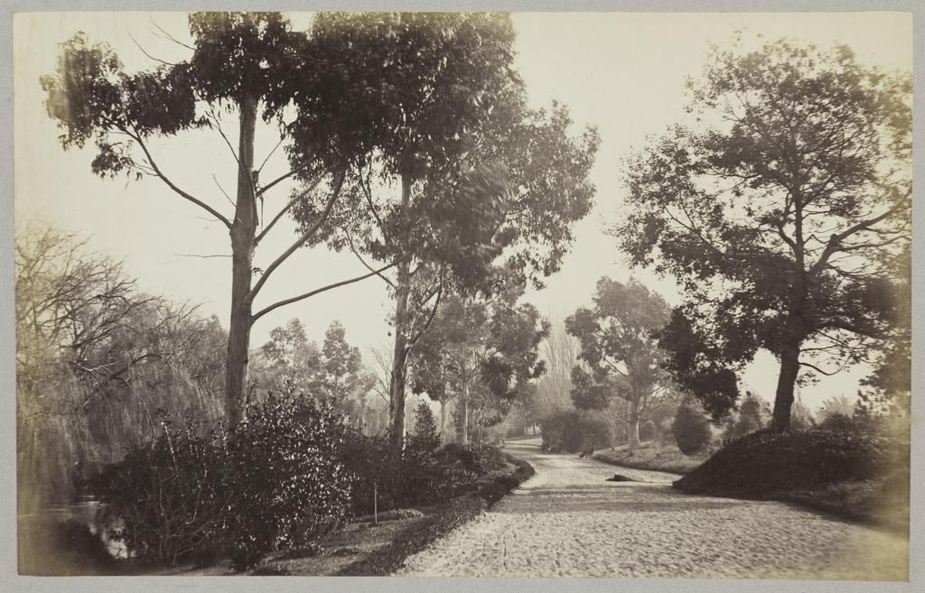 View in public domain, Christchurch