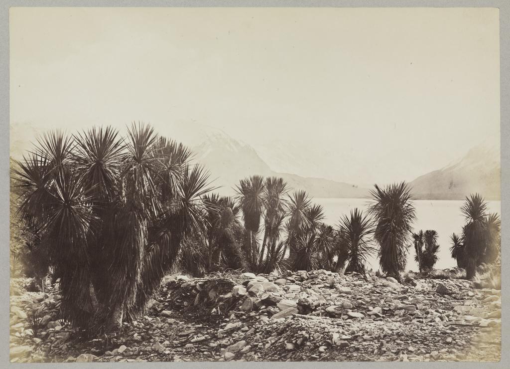 View from Cabbage Tree Bay, Lake Hawea