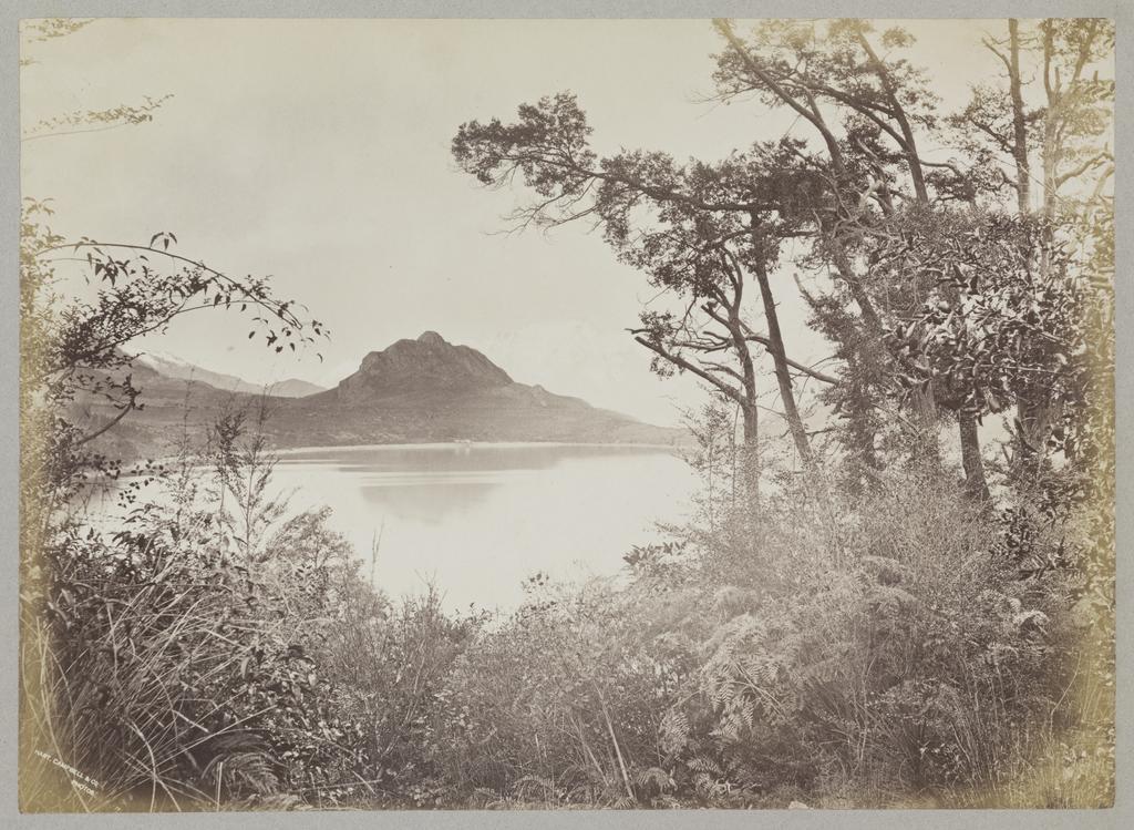 View from Bob's Cove Track, Lake Wakatipu