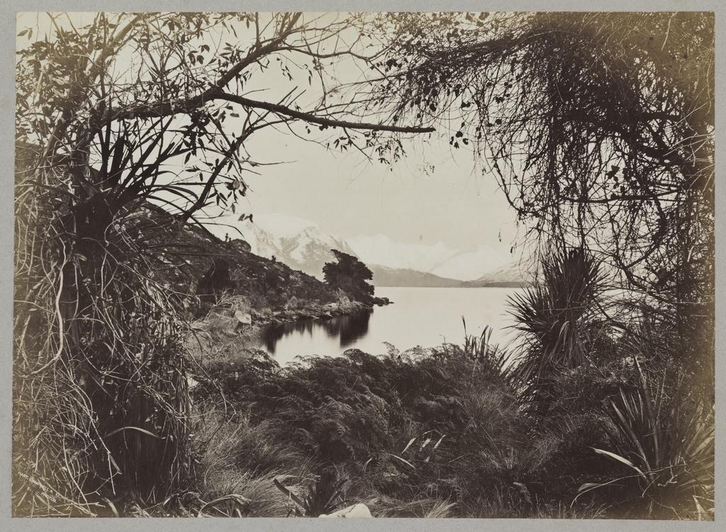 A peep through the trees, Lake Hawea