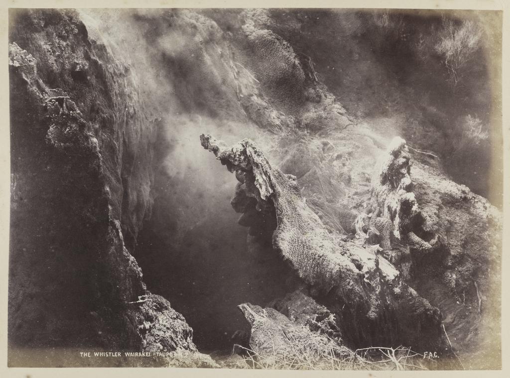 The Whistler, Wairakei, Taupo N.Z.
