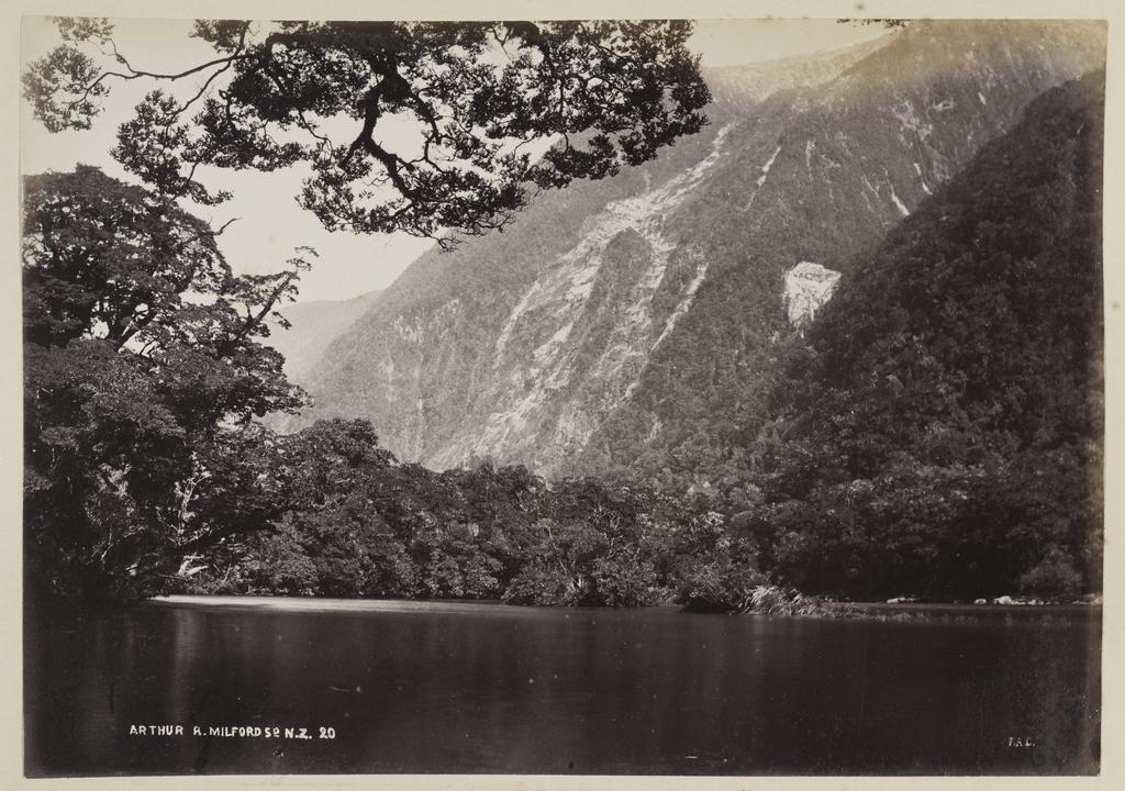 Arthur River, Milford Sound N.Z.