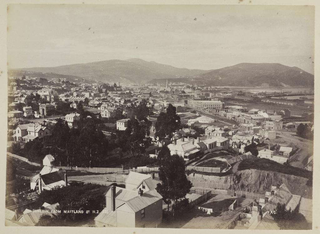Dunedin from Maitland Street N.Z.